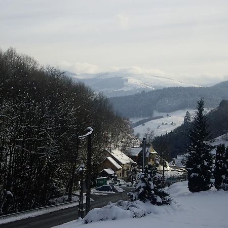 Appartement Vue Sur La Montagne Soultzeren 외부 사진