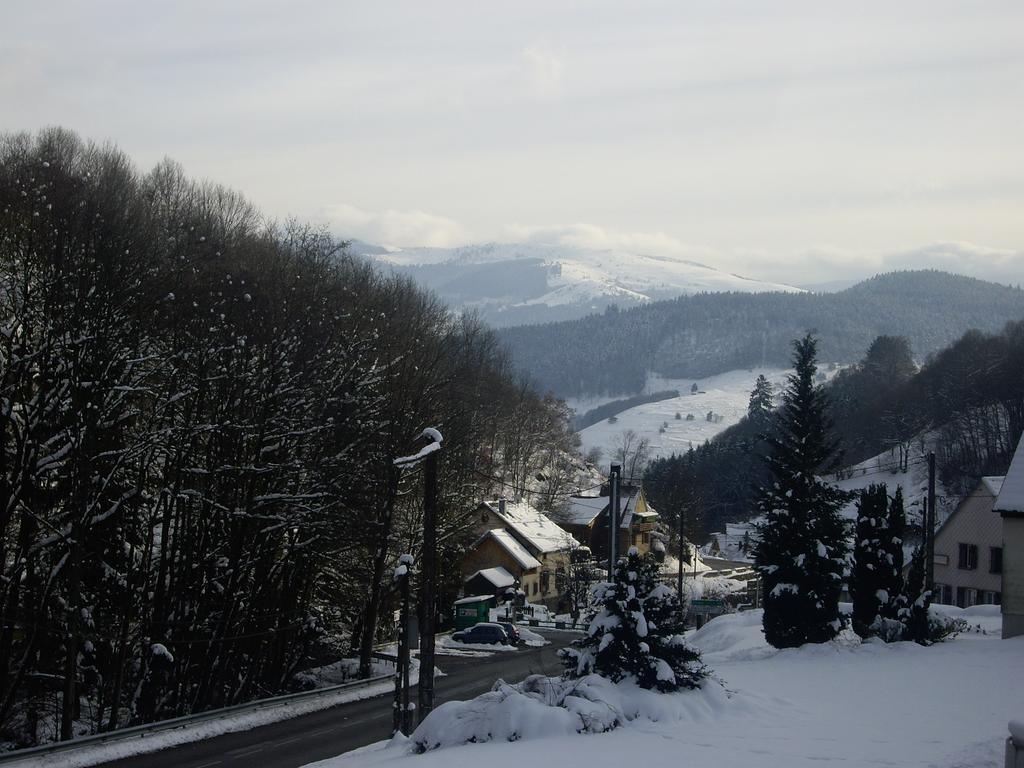 Appartement Vue Sur La Montagne Soultzeren 외부 사진